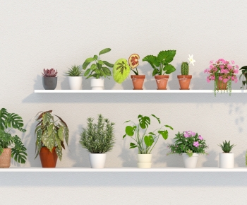 Modern Potted Green Plant-ID:155524026