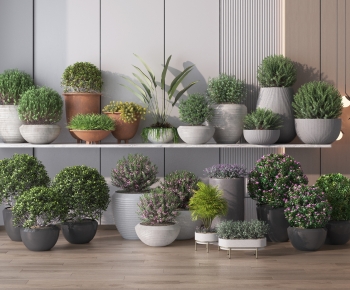 Modern Potted Green Plant-ID:311268098