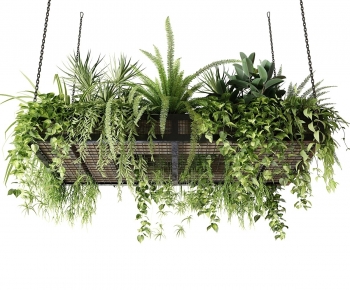 Modern Chlorophytum Comosum-ID:522525073