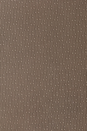 ModernRough Grain Leather