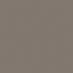 ModernFine Grain Leather