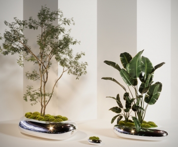 Modern Ground Green Plant Potted Plants-ID:802730088