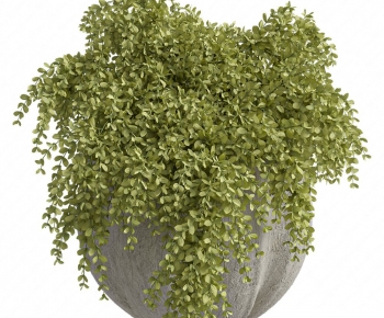 Modern Potted Green Plant-ID:452347996