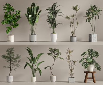 Modern Ground Green Plant Potted Plants-ID:987972972