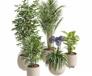 Modern Ground Green Plant Potted Plants-ID:305394899