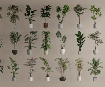 Modern Ground Green Plant Potted Plants-ID:592509034