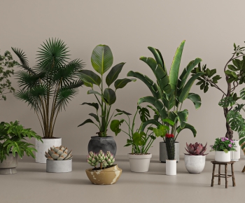 Modern Ground Green Plant Potted Plants-ID:491549979