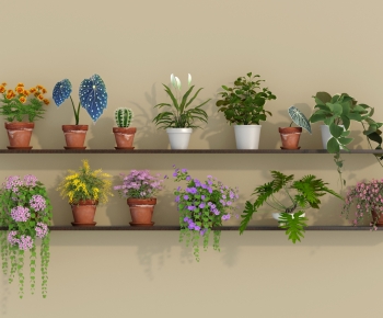 Modern Desktop Plant-ID:689018963