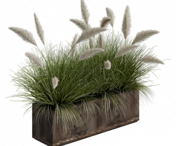 Modern Flower Bed, Flower Bowl, Flower Box-ID:928440145