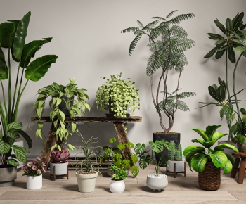 Modern Ground Green Plant Potted Plants-ID:573888063