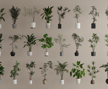 Modern Ground Green Plant Potted Plants-ID:733506922