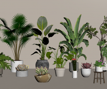 Modern Ground Green Plant Potted Plants-ID:250979906