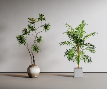 Modern Ground Green Plant Potted Plants-ID:454785113