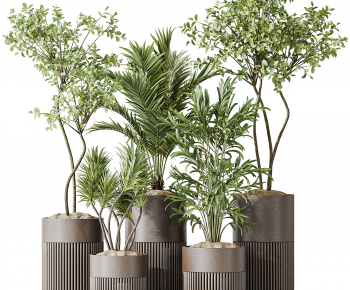 Modern Ground Green Plant Potted Plants-ID:956437115