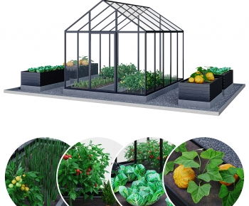 Modern Crop-ID:583004952