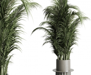 Modern Ground Green Plant Potted Plants-ID:298005102