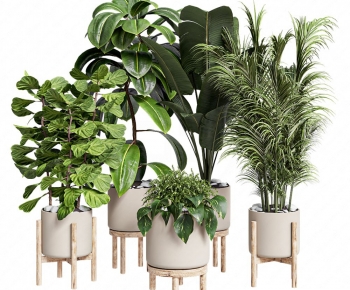 Modern Potted Green Plant-ID:569628008