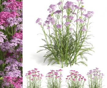 Modern Flowers And Grass-ID:137209912