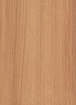 ModernWood Texture
