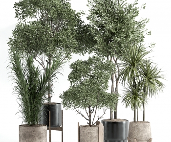 Modern Ground Green Plant Potted Plants-ID:645535956