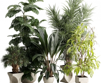 Modern Ground Green Plant Potted Plants-ID:549618969