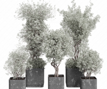 Modern Ground Green Plant Potted Plants-ID:966523899