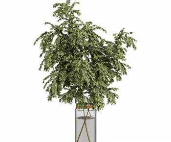 Modern Aquatic Green Plant-ID:801034938