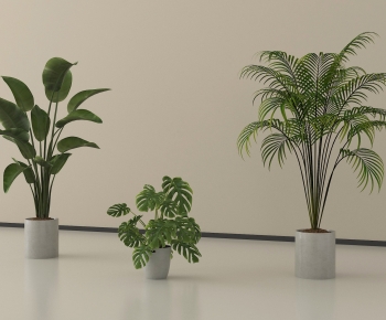 Modern Ground Green Plant Potted Plants-ID:546447995