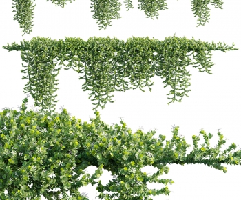 Modern Vine-ID:348560098