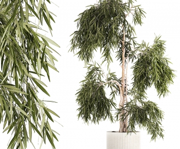 Modern Ground Green Plant Potted Plants-ID:334517964