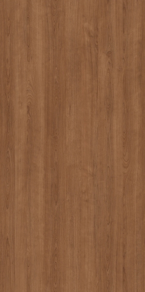 ModernWood Texture