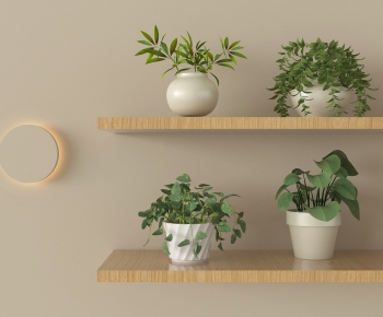 Modern Potted Green Plant-ID:815134056