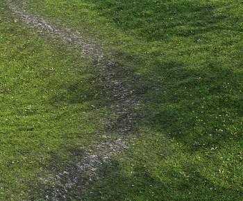 Modern The Grass-ID:588094009