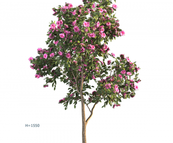 Modern Tree-ID:873905903
