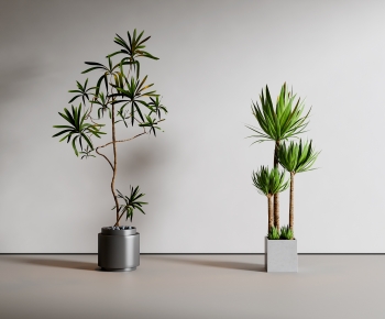 Modern Ground Green Plant Potted Plants-ID:630650533