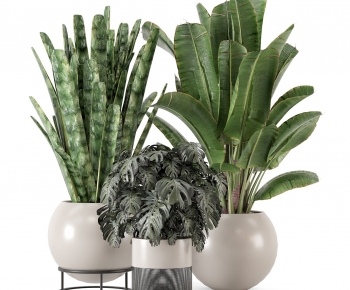 Modern Ground Green Plant Potted Plants-ID:134978067