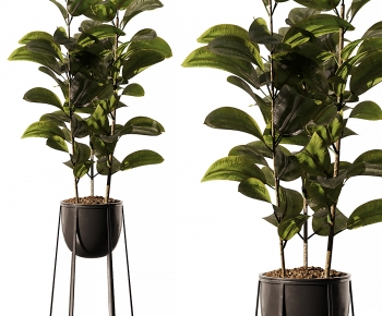 Modern Ground Green Plant Potted Plants-ID:492094043