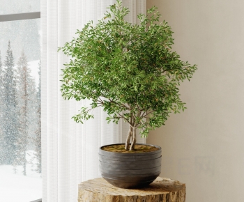 Modern Potted Green Plant-ID:400480034