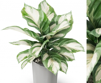 Modern Desktop Plant-ID:899056918