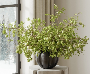 Modern Desktop Plant-ID:525664094