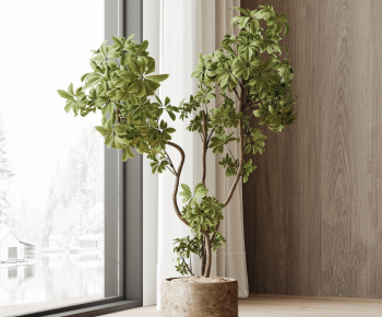 Modern Ground Green Plant Potted Plants-ID:829916959