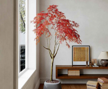 Modern Ground Green Plant Potted Plants-ID:537560047