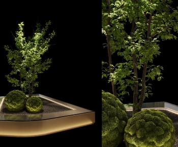 Modern Plant Landscaping-ID:700027948