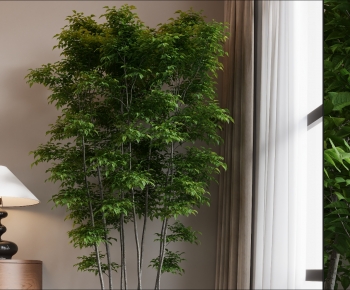 Modern Ground Green Plant Potted Plants-ID:382944119