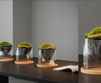 Modern Desktop Plant-ID:569479948