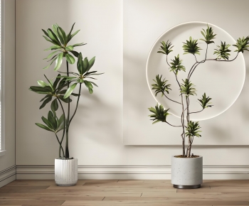 Modern Ground Green Plant Potted Plants-ID:685645106