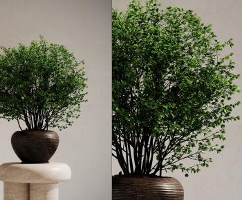 Modern Potted Green Plant-ID:928102972