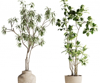 Modern Ground Green Plant Potted Plants-ID:674163104