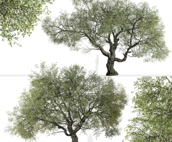 Modern Tree-ID:813764105