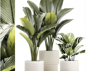 Modern Ground Green Plant Potted Plants-ID:229298116